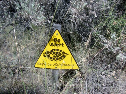 Yellow warning sign with a turtle graphic, stating "Be Alert" and "Watch for Rattlesnakes!" in a natural setting.