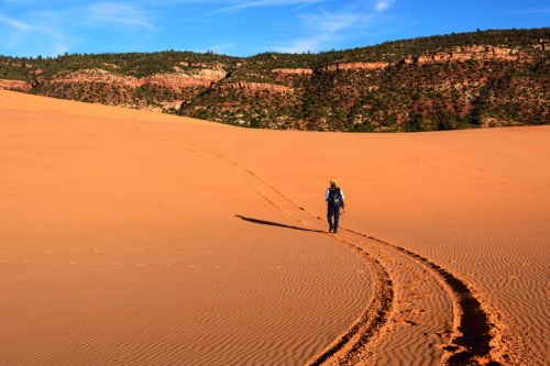 A lone hiker walks through a vast desert landscape, leaving footprints in the sand under a clear blue sky.