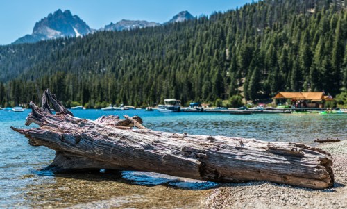 A weathered log rests on a sandy shore by a clear lake, surrounded by lush forests and distant mountains.