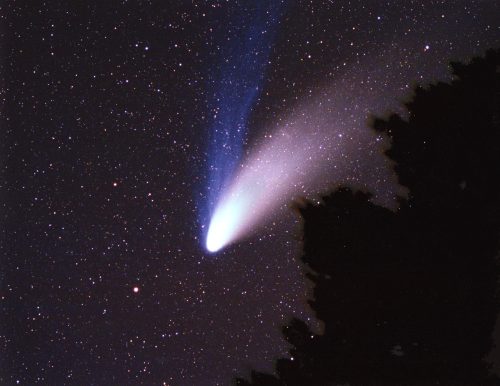 A bright comet with a long tail streaks across a starry night sky, silhouetted by dark tree branches below.