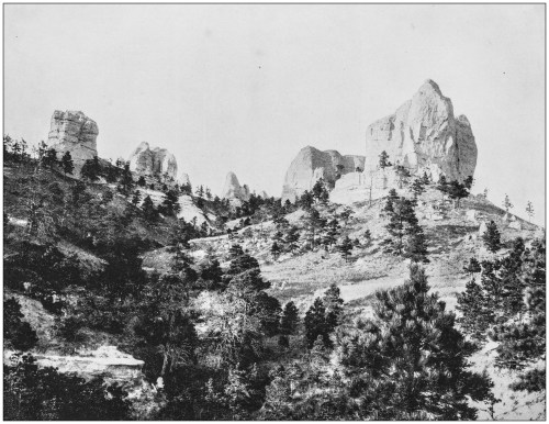 Black and white landscape featuring rocky formations and trees on a hillside.
