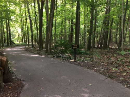 A winding path through a lush green forest, with a sign that says "KEEP RIGHT" visible along the trail.