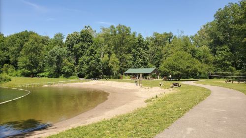 A sandy beach area by a calm pond, surrounded by trees, with a walking path and picnic tables nearby.