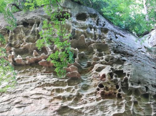Rocky cliff face with unique textures and holes, surrounded by green foliage and trees.