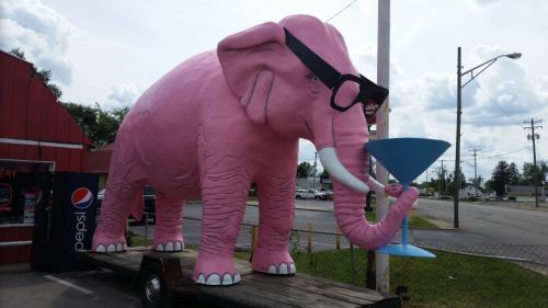 A large pink elephant statue wearing glasses, holding a blue martini glass, displayed on a trailer outside a building.