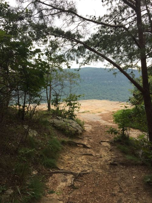 A rocky path leads through greenery to a scenic overlook of a distant mountain range under a cloudy sky.