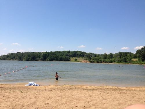 A sandy beach with a child playing in the water, surrounded by trees and a clear blue sky.