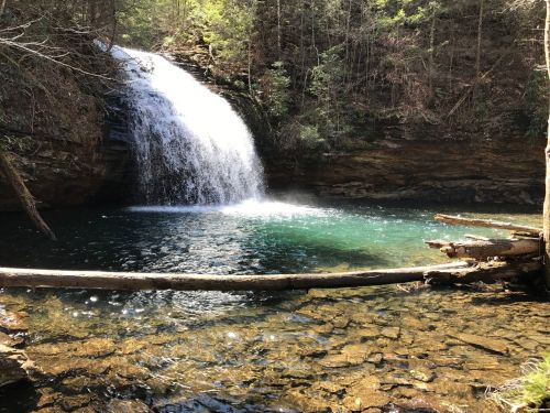 A serene waterfall cascades into a clear pool, surrounded by lush greenery and rocky terrain.