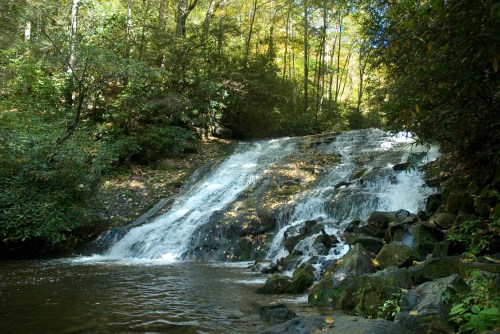 A serene waterfall cascades over rocks, surrounded by lush greenery and trees in a peaceful forest setting.