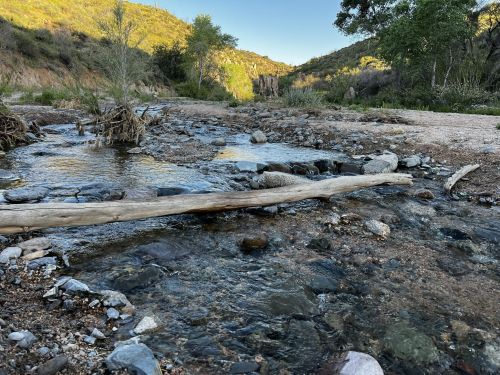 A serene stream flows over rocks, with a fallen log and lush greenery in a mountainous landscape.