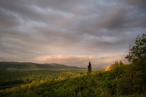 A scenic view of rolling green hills under a cloudy sky, with soft light illuminating the landscape.