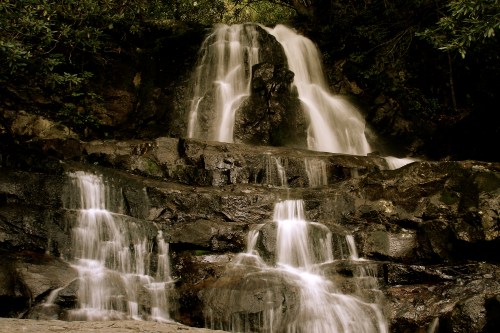 A serene waterfall cascading over dark rocks, surrounded by lush greenery.
