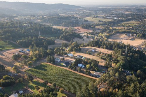 Aerial view of a rural landscape featuring vineyards, homes, and rolling hills under a clear sky.