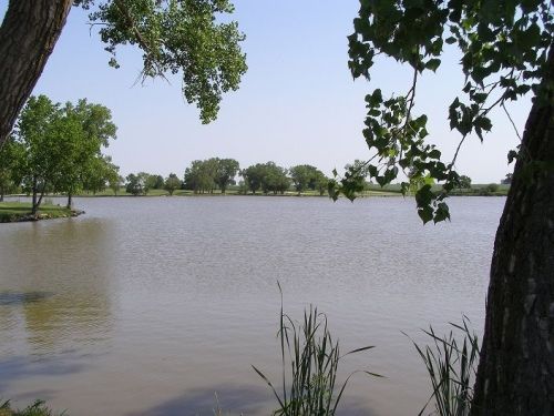 A serene lake surrounded by trees and greenery under a clear blue sky.