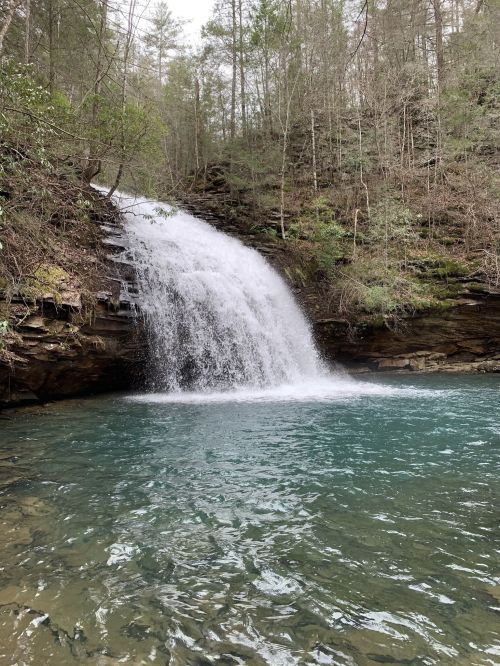 A serene waterfall cascades into a clear blue pool, surrounded by lush greenery and rocky terrain.