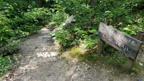 A dirt path leads through lush greenery, with a wooden sign marking the Laurel Bluff Loop Trail.