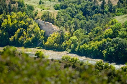 Lush green trees line a riverbank, with a winding river flowing through a scenic landscape of hills and foliage.