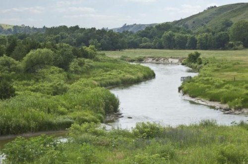 A serene river winding through lush green fields and trees under a cloudy sky.