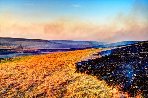 A landscape with burnt grass and smoke, transitioning from charred earth to vibrant green fields under a colorful sky.