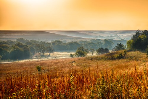 A serene landscape at sunrise, featuring rolling hills, misty valleys, and golden grasses under a warm orange sky.