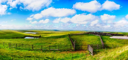 A panoramic view of lush green fields under a blue sky with fluffy clouds, featuring a small pond and wooden fences.