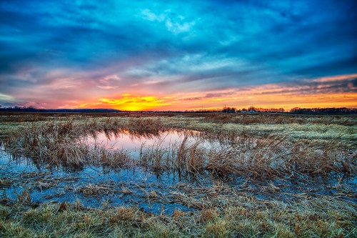 A serene landscape at sunset, featuring a reflective pond surrounded by tall grasses under a colorful sky.