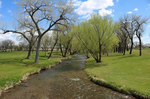 A serene landscape featuring a winding stream surrounded by lush green grass and trees under a blue sky with clouds.