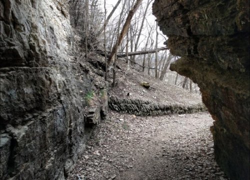 A rocky pathway between two cliffs, surrounded by bare trees and a gravelly ground.