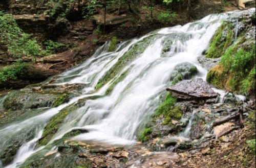 A serene waterfall cascading over moss-covered rocks in a lush, green forest.