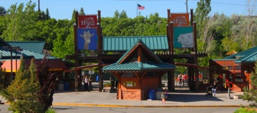 Entrance to Hogle Zoo with colorful signs, trees in the background, and visitors walking in. American flag visible.