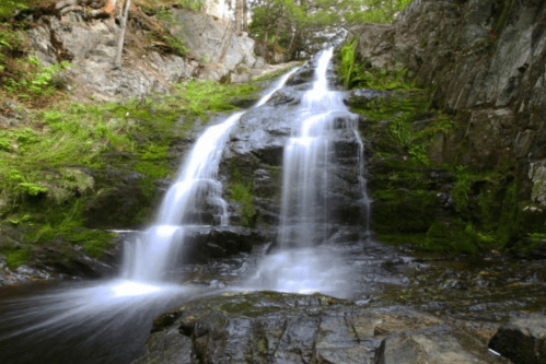 A serene waterfall cascading over moss-covered rocks in a lush, green forest.