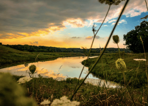 A serene river at sunset, reflecting colorful clouds and surrounded by lush greenery and wildflowers.