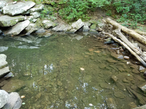 A serene natural pool surrounded by rocks and trees, with clear water reflecting the greenery above.