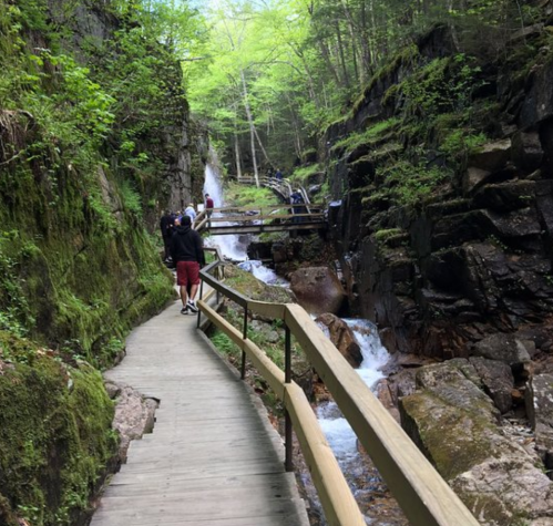 A wooden walkway winds through a lush, green forest alongside a flowing stream and rocky cliffs.