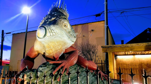 A large, colorful iguana sculpture perched on a rock, set against a twilight sky and urban backdrop.