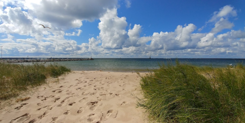 A sandy beach with footprints, grass, and a calm sea under a blue sky filled with fluffy clouds.