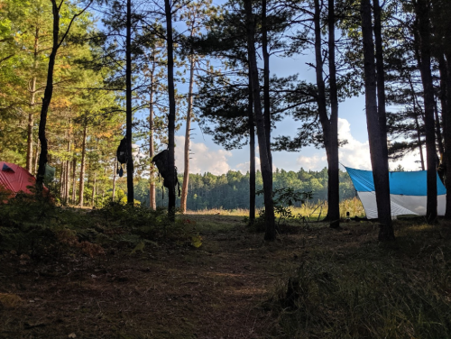 A serene forest scene with tents set up among tall trees, overlooking a calm lake in the distance.