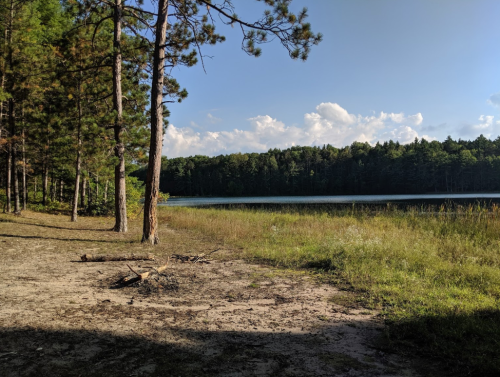 A serene lakeside scene with tall trees, grassy shore, and a calm water surface under a clear blue sky.