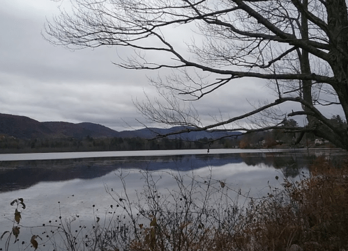 A tranquil lake scene with bare trees, mountains in the background, and a cloudy sky reflecting on the water's surface.
