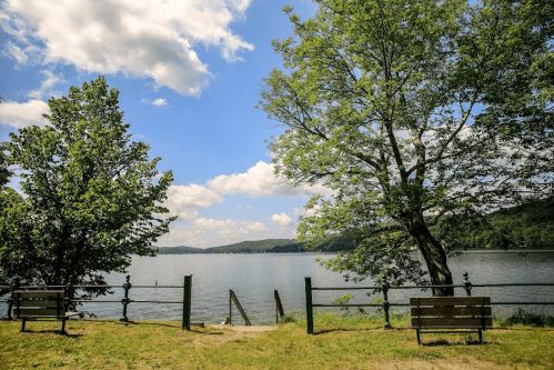 A serene lake view with two benches, trees, and a clear blue sky with fluffy clouds.