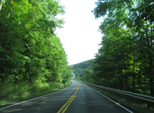 A winding road surrounded by lush green trees under a bright sky.