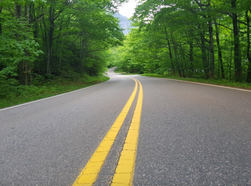 A winding road surrounded by lush green trees under a bright sky.