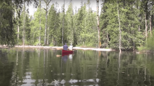 A couple paddles a red canoe through a serene forested lake, surrounded by tall green trees and calm water.