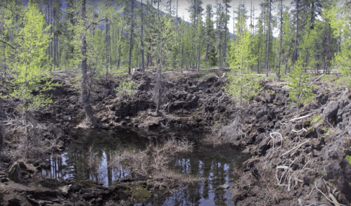 A rocky landscape with a small pond surrounded by trees and greenery under a clear sky.