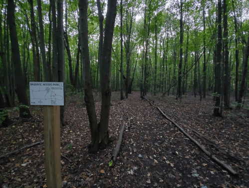 A wooded path in Banewicz Woods Park, surrounded by tall trees and fallen leaves, with a park map sign nearby.