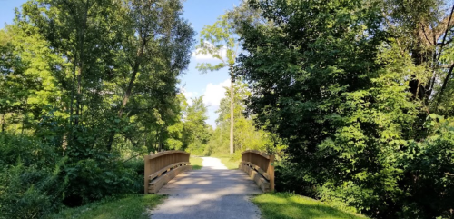 A wooden bridge spans a path surrounded by lush green trees under a clear blue sky.