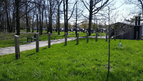 A sunny park scene with green grass, trees, and a pathway lined with wooden posts, leading to a gathering in the distance.