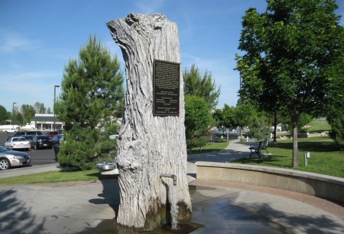 A weathered tree stump with a plaque, surrounded by greenery and parked cars in a public park setting.
