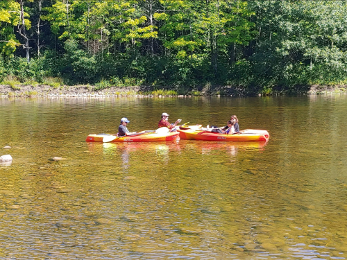 Two people in yellow kayaks paddle on a calm river surrounded by lush green trees.