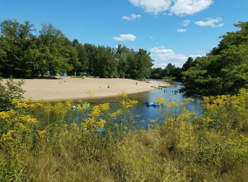 A sandy beach by a calm river, surrounded by trees and people enjoying the sun on a clear, blue sky day.